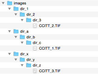 Example Directory Structure